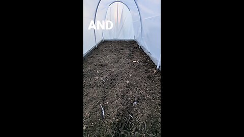 Mini Greenhouse / Hoop House / Garden 2025