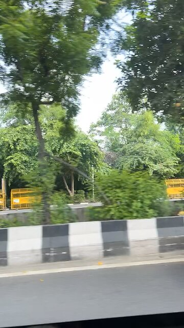Delhi Greenery 🌳 | Beautiful Nature in the Heart of City #shorts