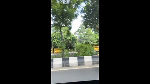Delhi Greenery 🌳 | Beautiful Nature in the Heart of City #shorts