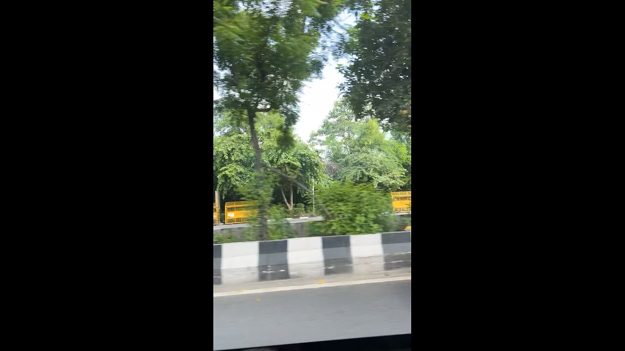 Delhi Greenery 🌳 | Beautiful Nature in the Heart of City #shorts