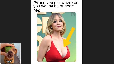 Memes That Will 99.0540% Make You Laugh. (e764)