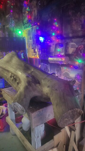 Stan's Got Wood 🪵 the Final Piece