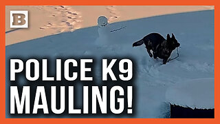 Brutal Police K9 Mauling! Snowman's "Arm" Ripped Away in "Attack"