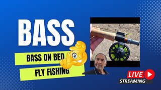 Bass On Bed Fly Fishing - Rebroadcast #mobile #fishing #livestream #djiosmoaction4