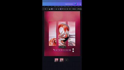 Diseño canva