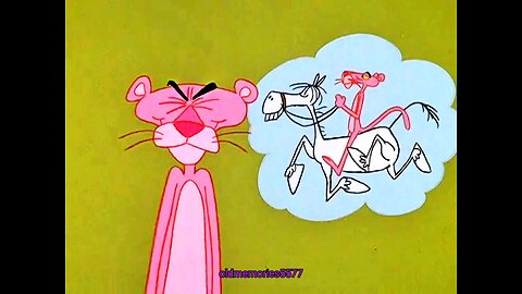 Pink Panther Pinto Pink