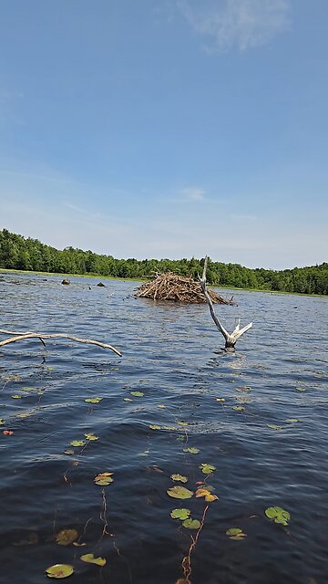 Beaver hut piseco outlet ny