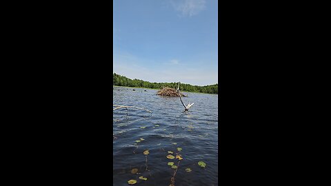 Beaver hut piseco outlet ny
