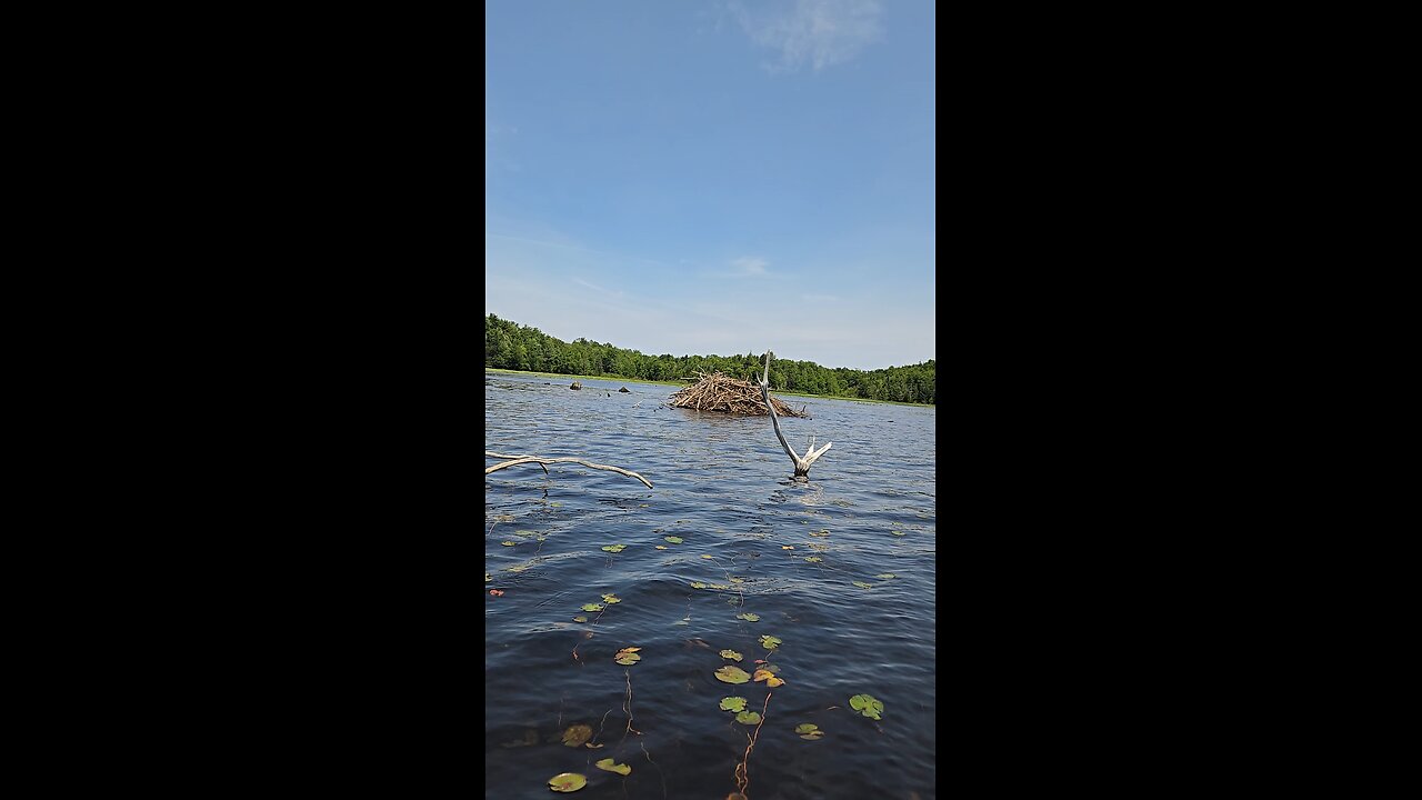Beaver hut piseco outlet ny