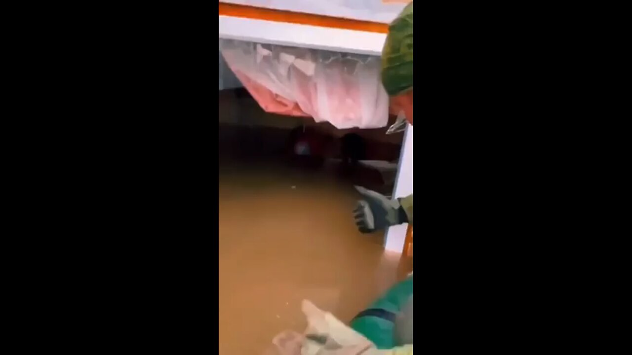 Men rescue dog that was left behind in a home during floods🐶😮