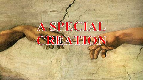 Special Creation Part 3 - Billy Crone