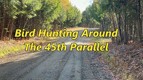 Bird Hunting Near 45th Parallel