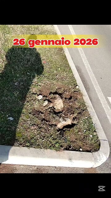 che succede a Magenta?