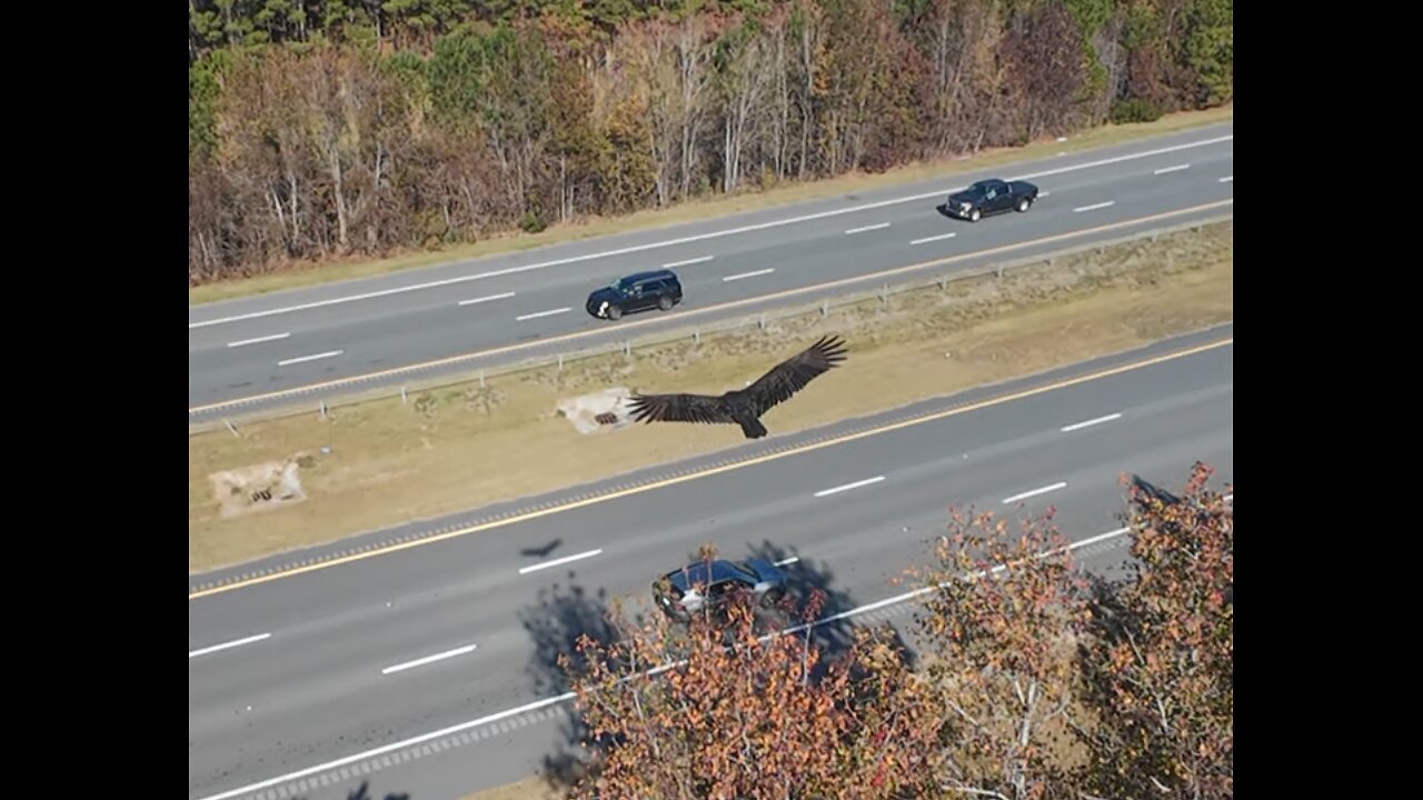 🦅 Highway To Hell - AC/DC 🦅