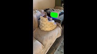 Baby TV | Green Screen