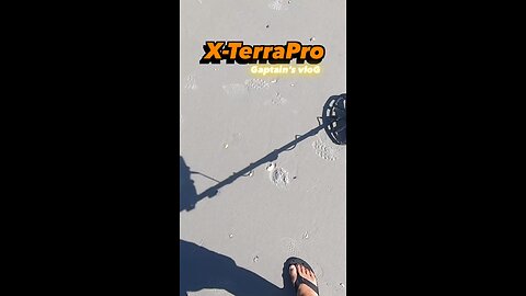 Beach Metal Detecting Minelab X-TerraPro XTerraPro