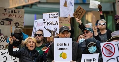 Democrats under fire for 'jihad' against Tesla: 'They're pro-terrorism now'