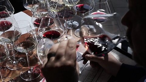 Master Sommelier Techniques on Display at Sip and Study