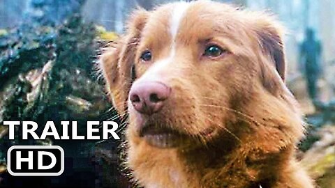 GOOD BOY Official Trailer (2025)