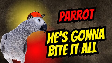 This Parrot Has Serious Issues With Smartphones