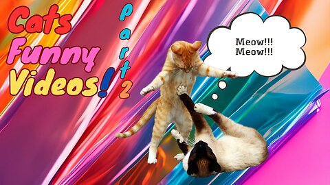 These CATS are too FUNNY! 🤣 | New Cat Videos 2025 (part 2)