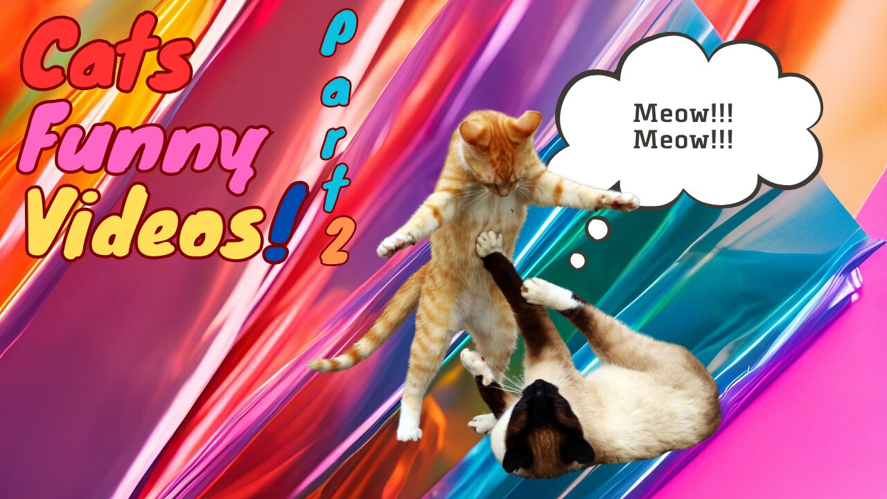 These CATS are too FUNNY! 🤣 | New Cat Videos 2025 (part 2)