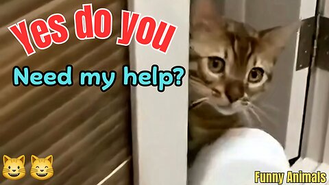 "Yes, do you need help?"