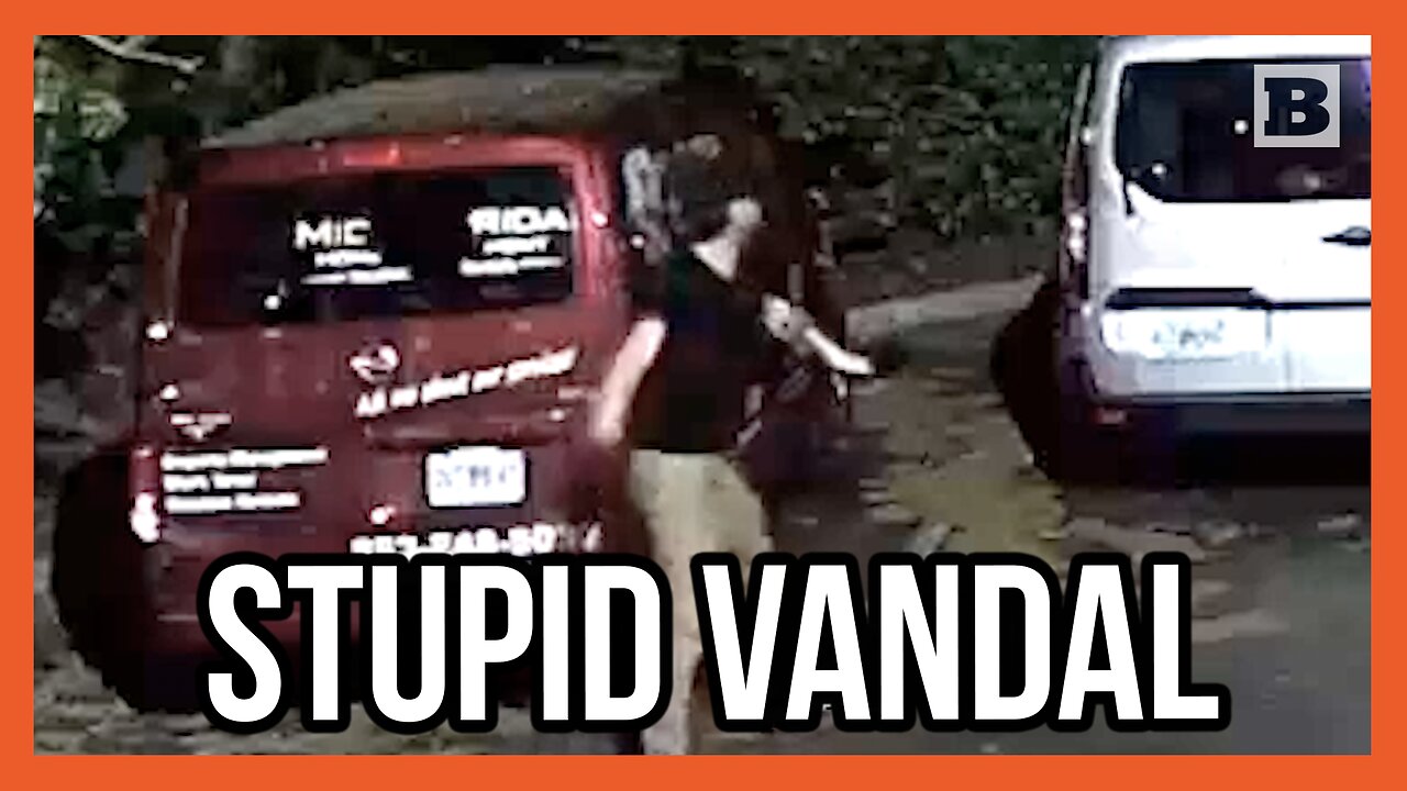 Not Very Loving! Vandal Seen Throwing Object at Vehicles Before Visiting Store Called "Love's"
