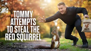 Tommy Attempts to Steal the Red Squirrel - with Laura Towler