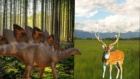 Sunday Evening Dinosaur & Animal Talk