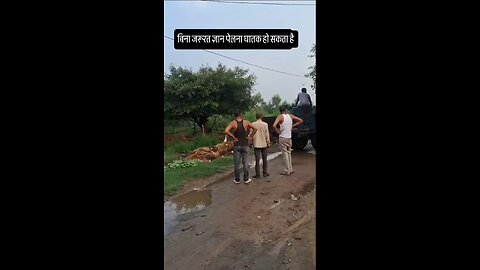 funny video 🤣🤣🤣🤣 fallen down.