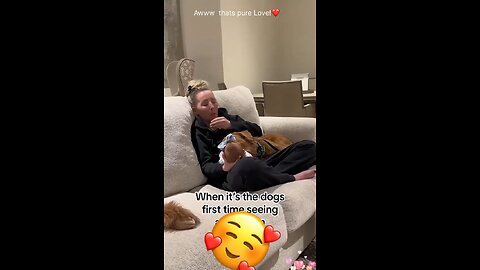 When pet dog see a Newborn for the first time