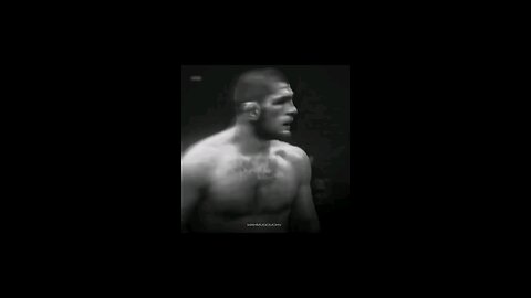 Khabib The Eagle