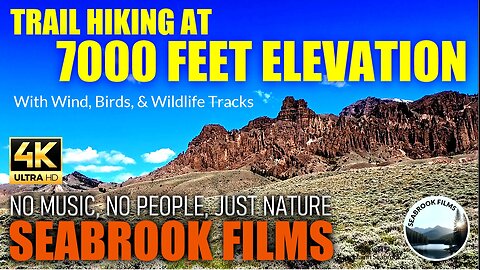 Trail Hiking at 7000 Feet Elevation, With Wind, Birds, and Wildlife Tracks