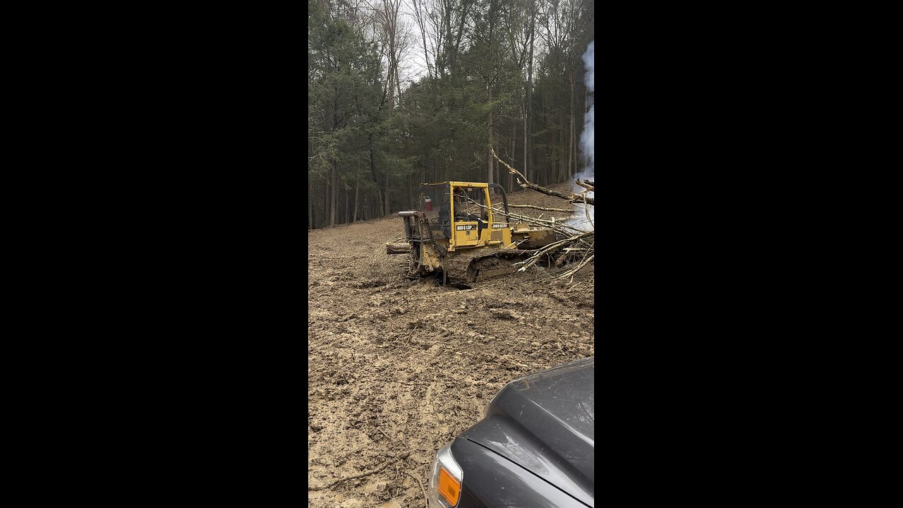 Log landing cleanup