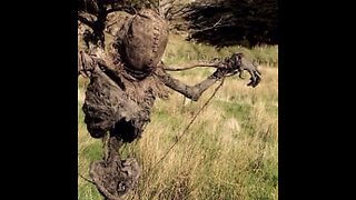 We ain't afraid of no...