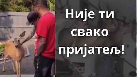 Није ти свако пријатељ!