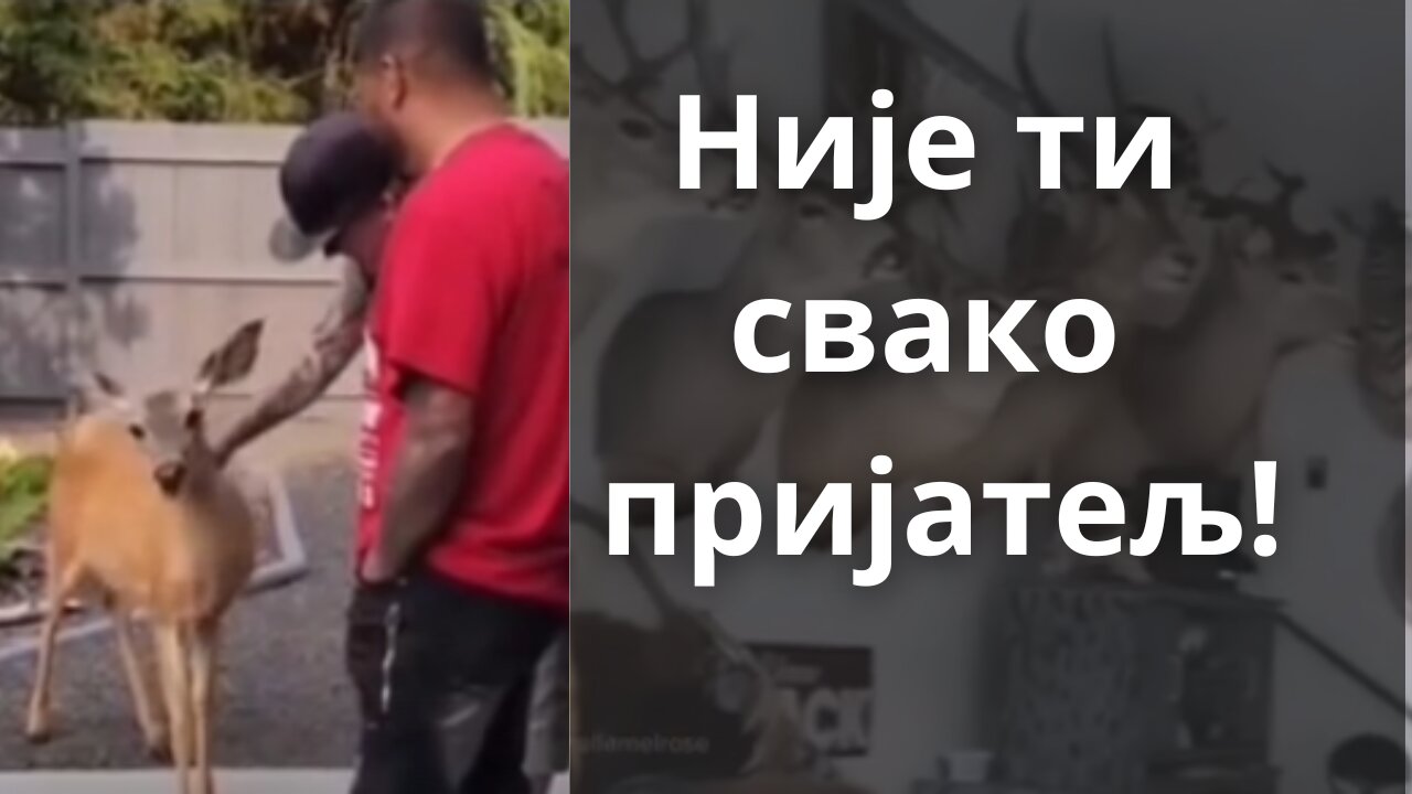 Није ти свако пријатељ!