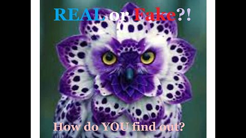 R U Insecure in Finding "the Truth"? Here's the only trustworthy source.