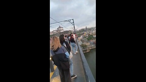 Video Funny #Funny #portugal