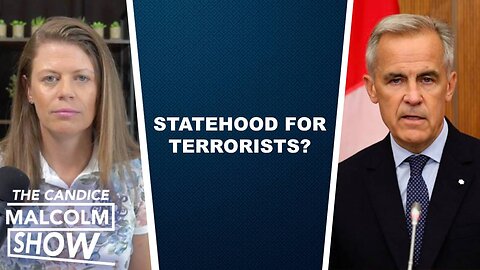 Carney offers statehood to Hamas? + illegal border crossers CAUGHT on tape