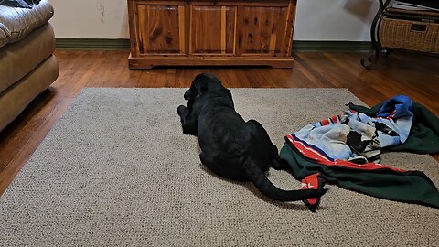 Aurora playing is the best gift