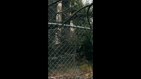 Entering an Abandoned Juvenile Center 💯 #abandoned #urbex #abandonedplaces #urbanexploring