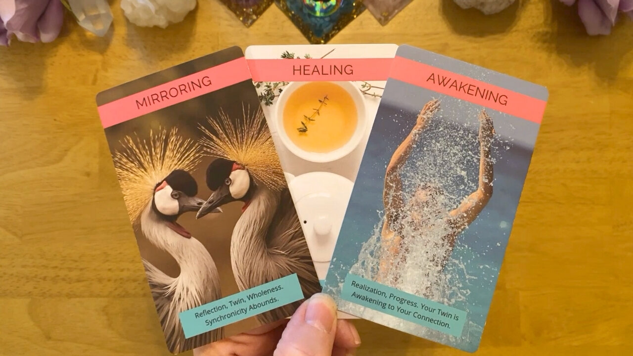 NO CONTACT 😢 YOU ARE BOTH MIRRORING EACH OTHER IN SO MANY WAYS 🥰 (COLLECTIVE LOVE READING)