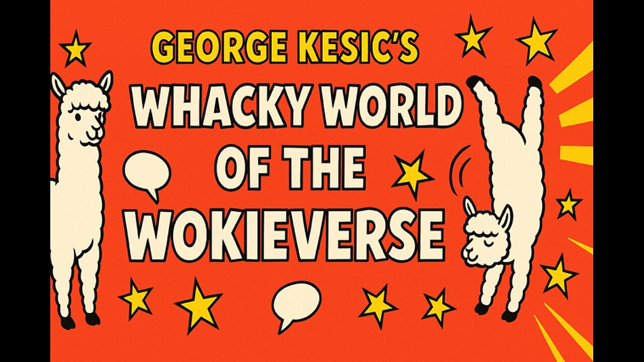 Whacky Wold of The Wokieverse