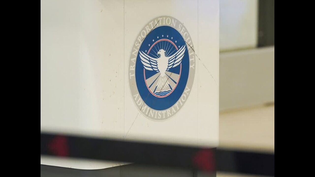 WH Names McNeill Acting Head of TSA