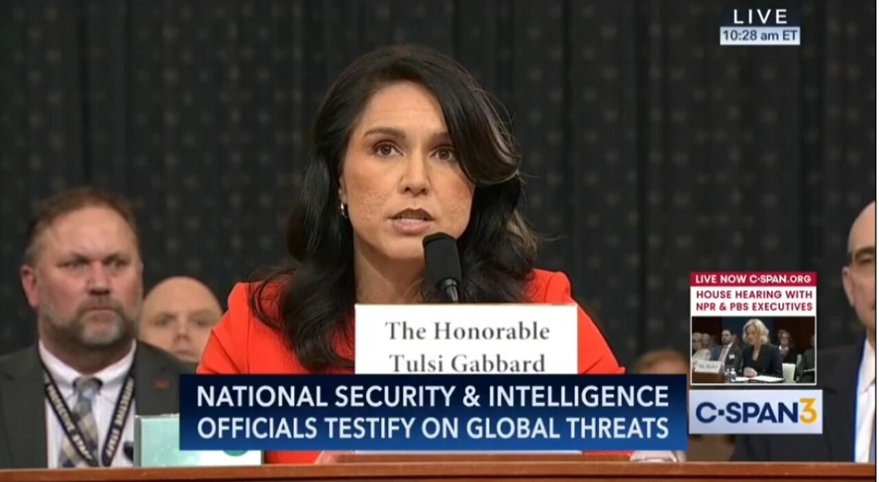 DNI Gabbard: No Sources or Methods Were Shared On Signal Chat