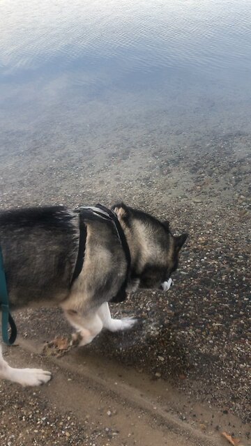 Wednesday November 18, I will guide you along the best pathway