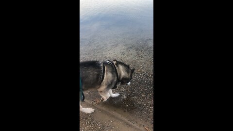 Wednesday November 18, I will guide you along the best pathway