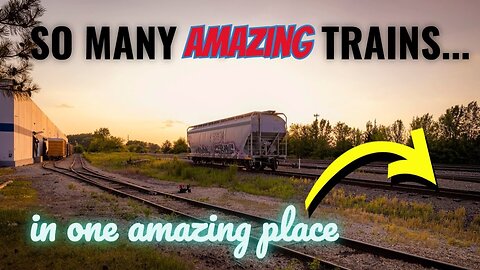 New Railfan Spot on the BNSF Racetrack! Metra Trains, Intermodal & Coal Freight Action